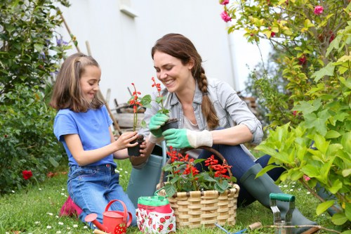 Professional lawn mowing in Finsbury Park garden