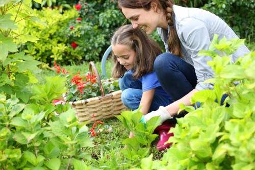 Well-trimmed shrubs and trees in a carefully maintained Finsbury Park garden.