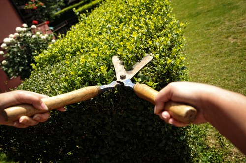 Sustainable garden maintenance practices in Finsbury Park