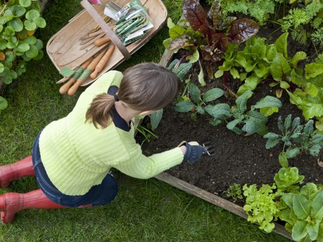 Healthy trees maintained by professional tree care services in Finsbury Park