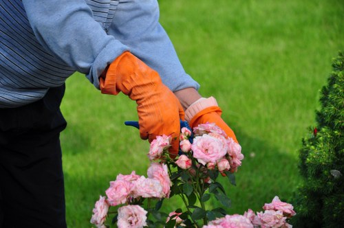 Diverse plant selection for sustainable landscaping