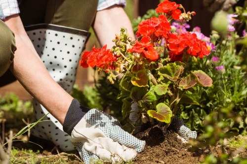 Native plants thriving in Finsbury Park garden