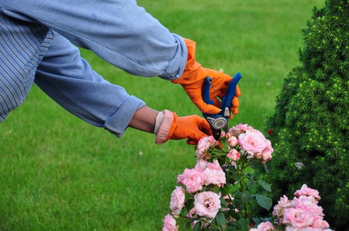 Keyboard user navigating a booking form for local pressure washing services
